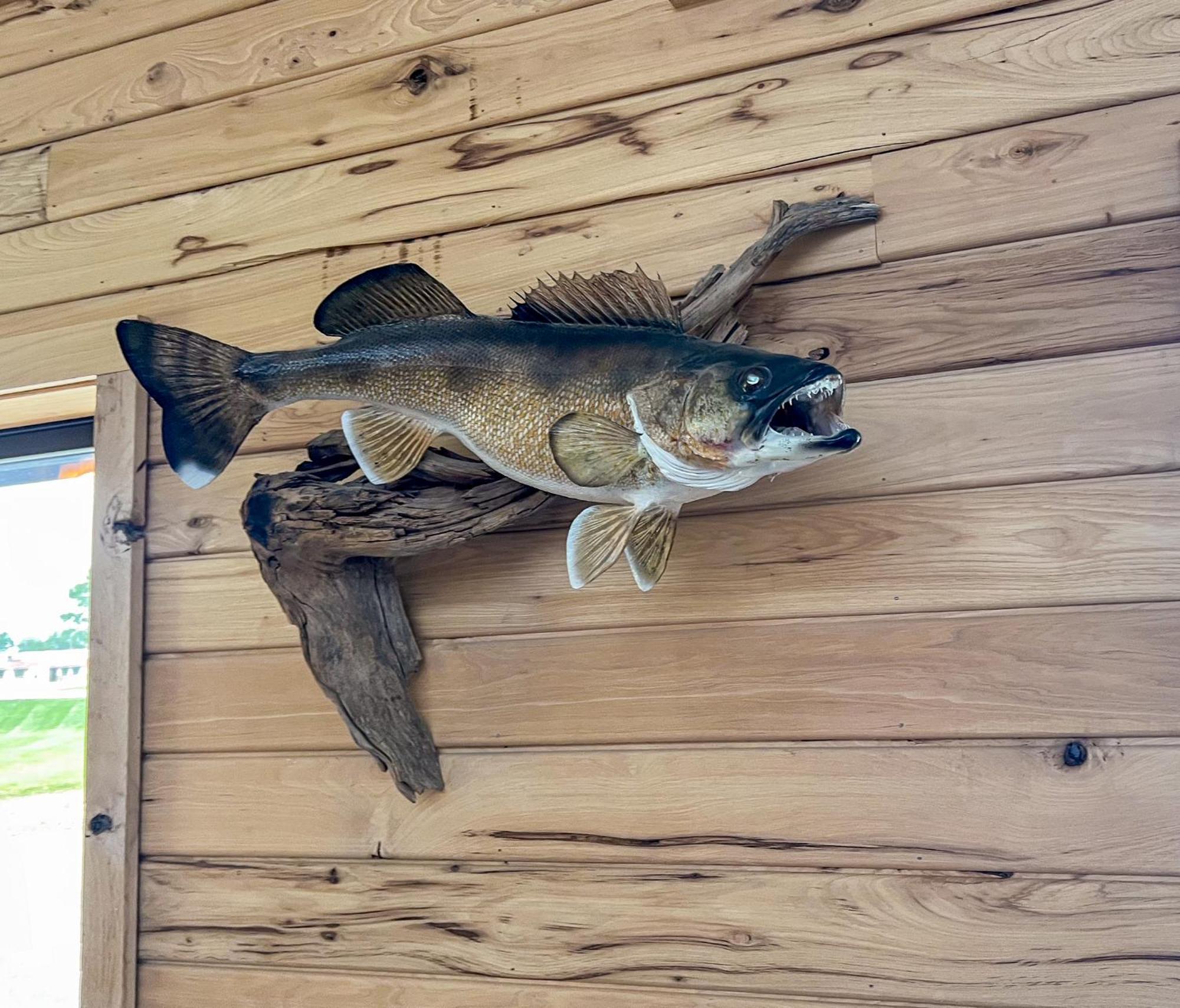 Walleye Inn 바우뎃 외부 사진
