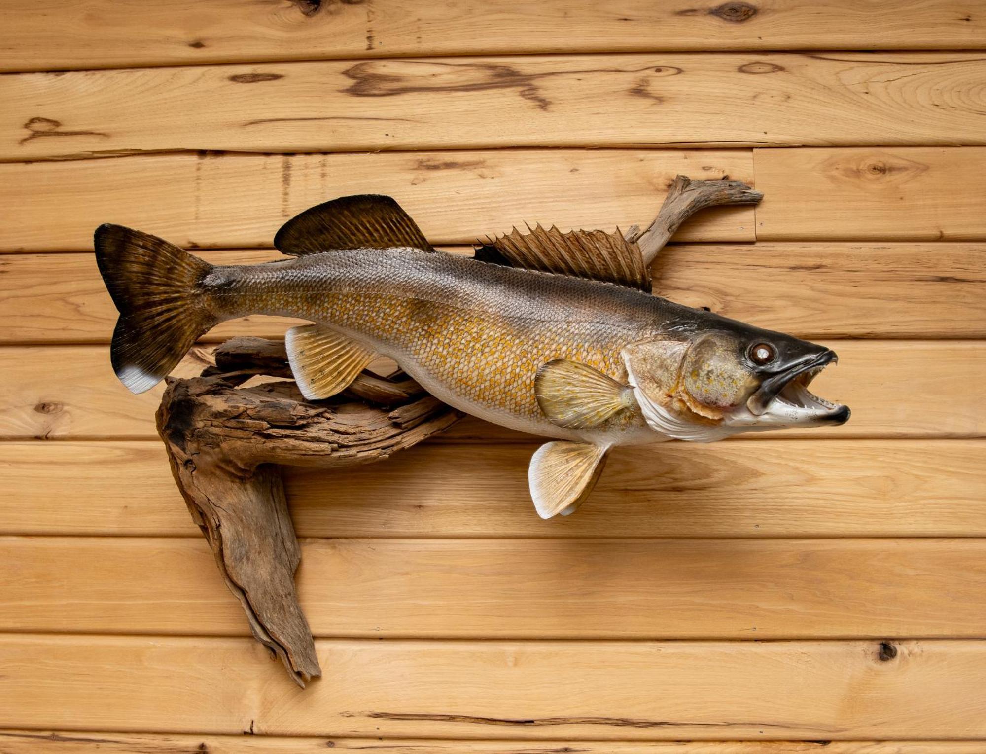 Walleye Inn 바우뎃 외부 사진