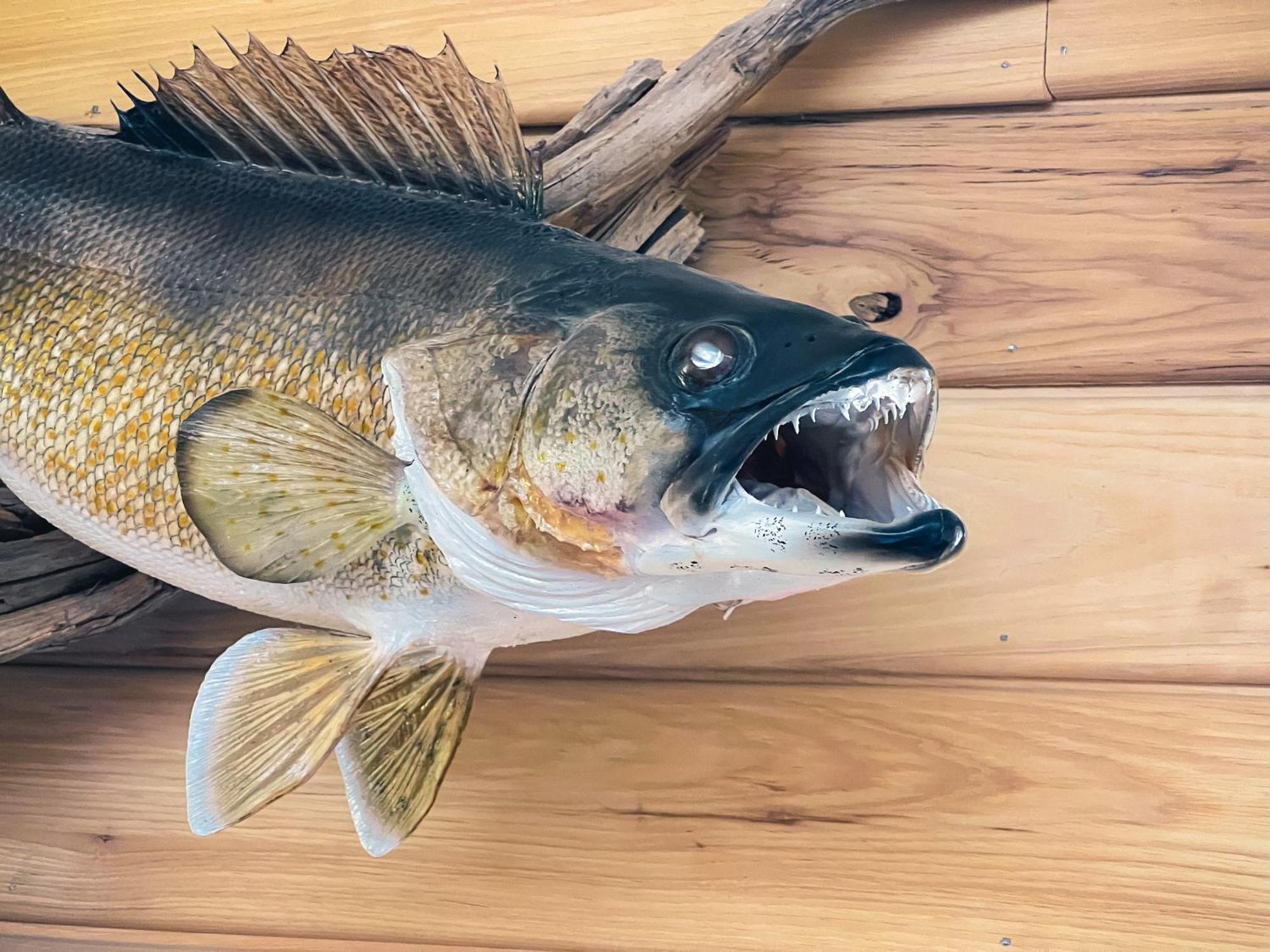 Walleye Inn 바우뎃 외부 사진